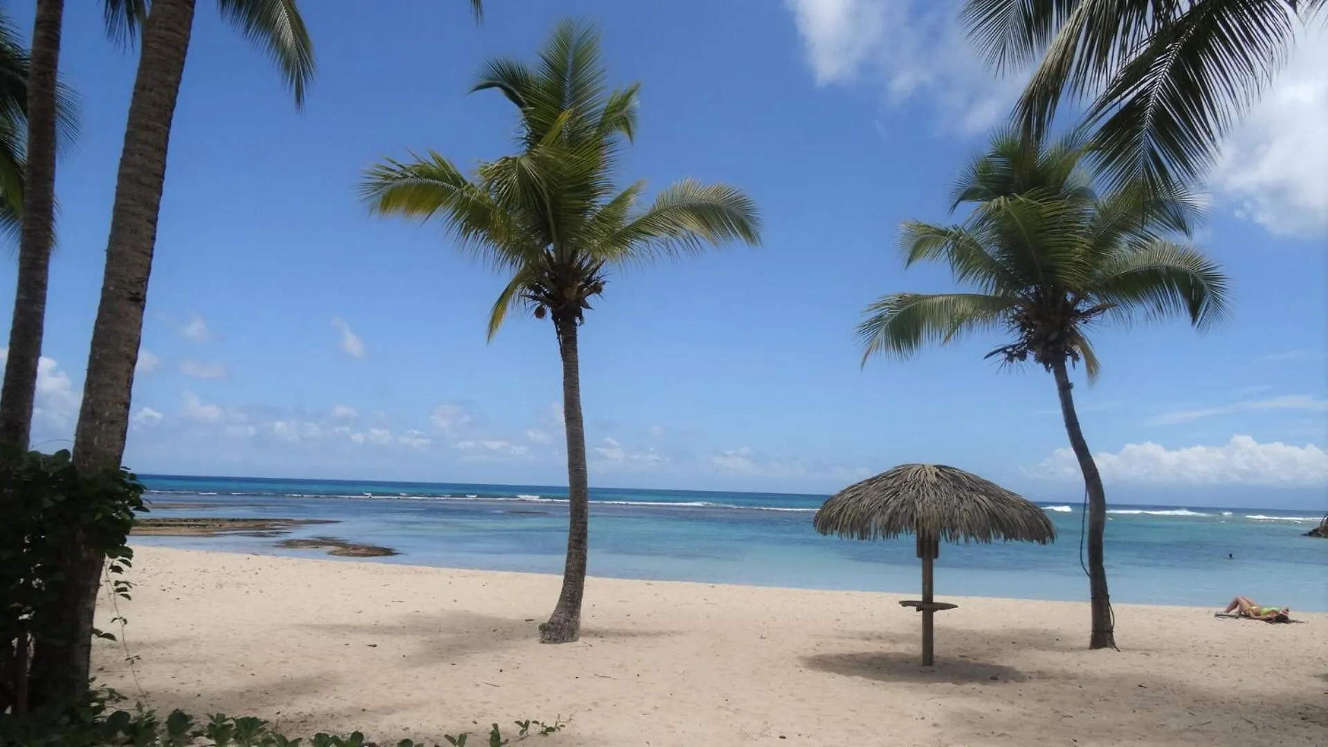 Holidays Guadeloupe -Paradise -Anse Des Rochers Belle-Allée 아파트