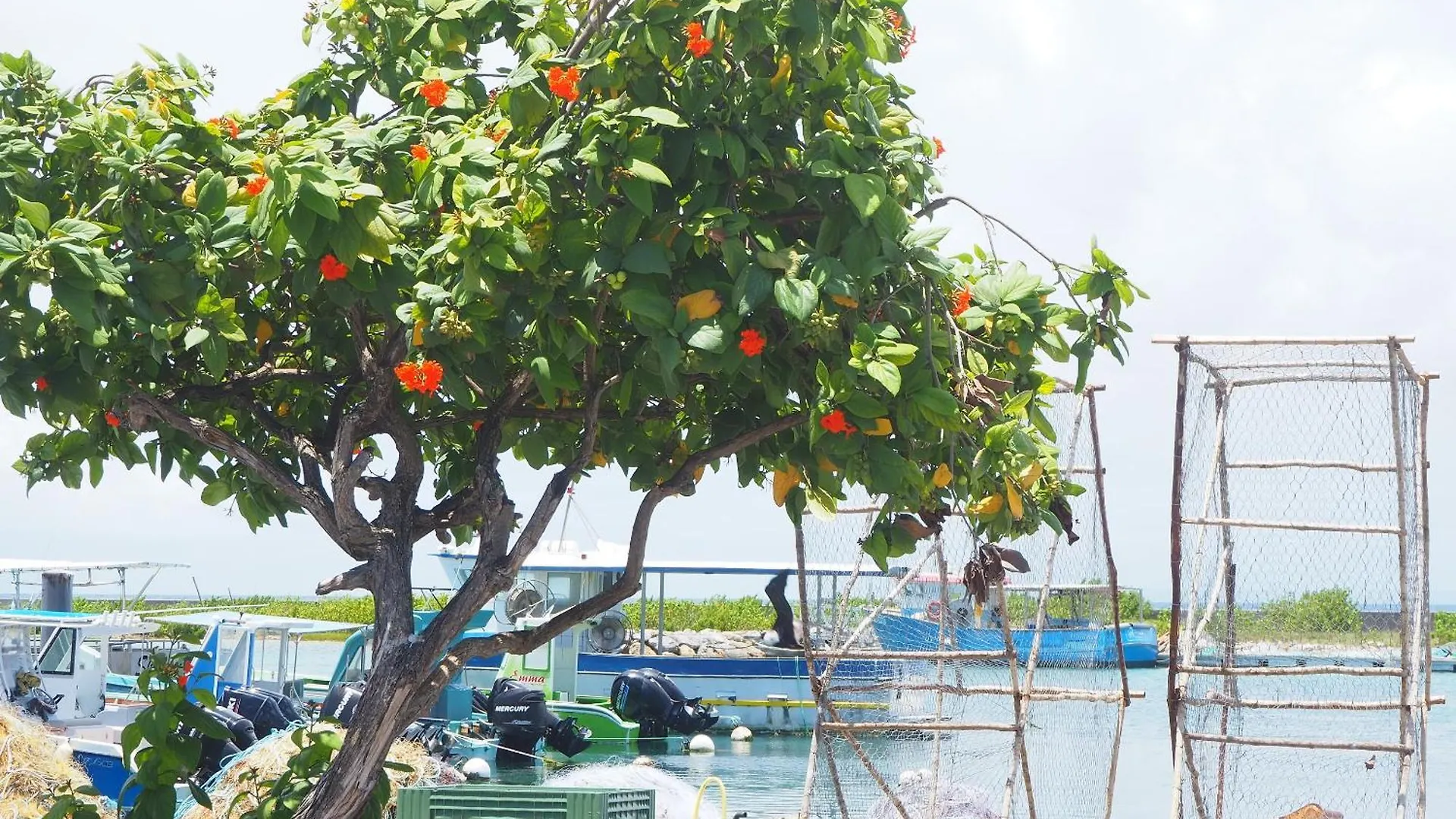 Apartman Holidays Guadeloupe -Paradise -Anse Des Rochers Belle-Allée