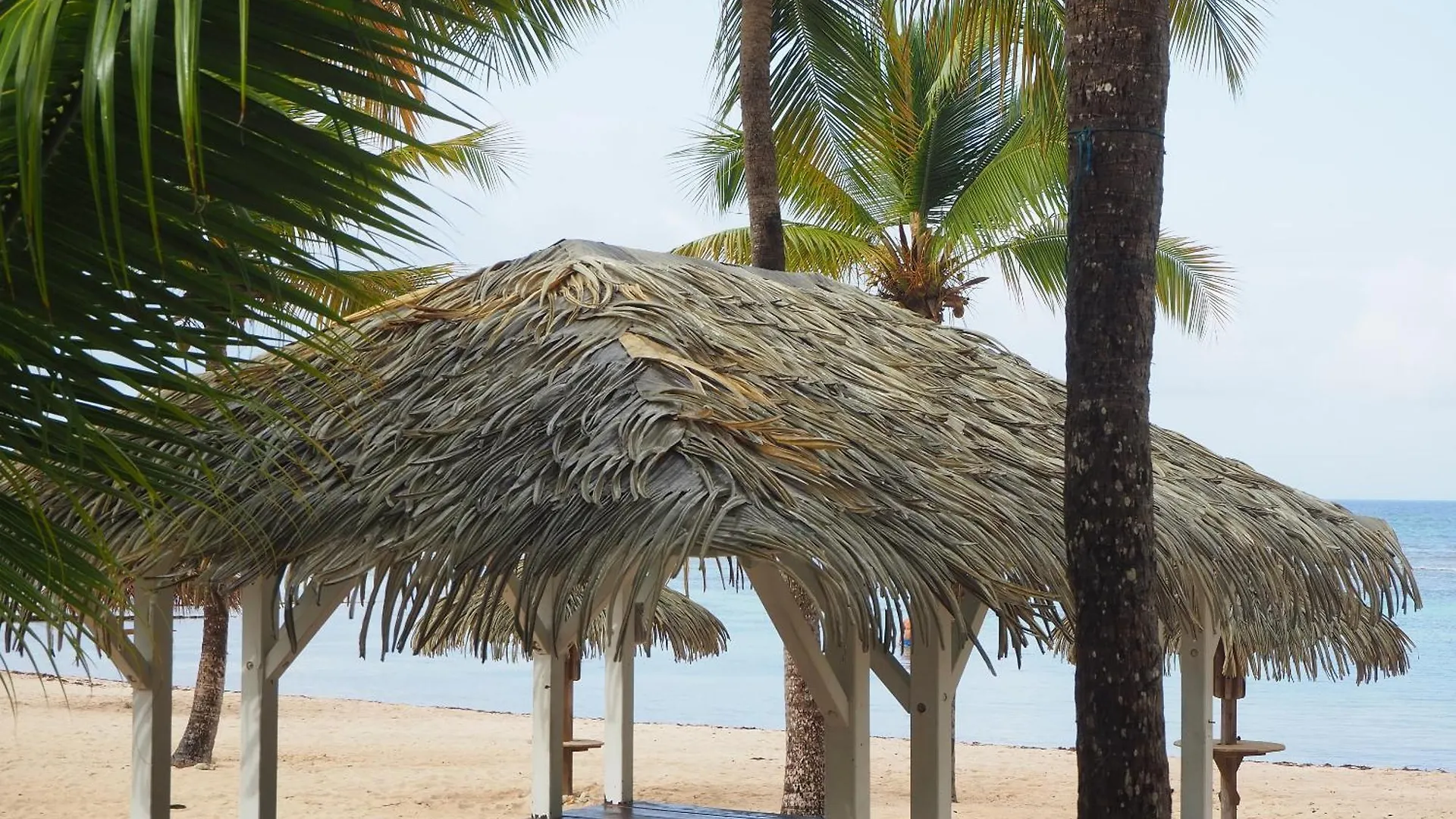 Holidays Guadeloupe -Paradise -Anse Des Rochers Belle-Allée Apartman