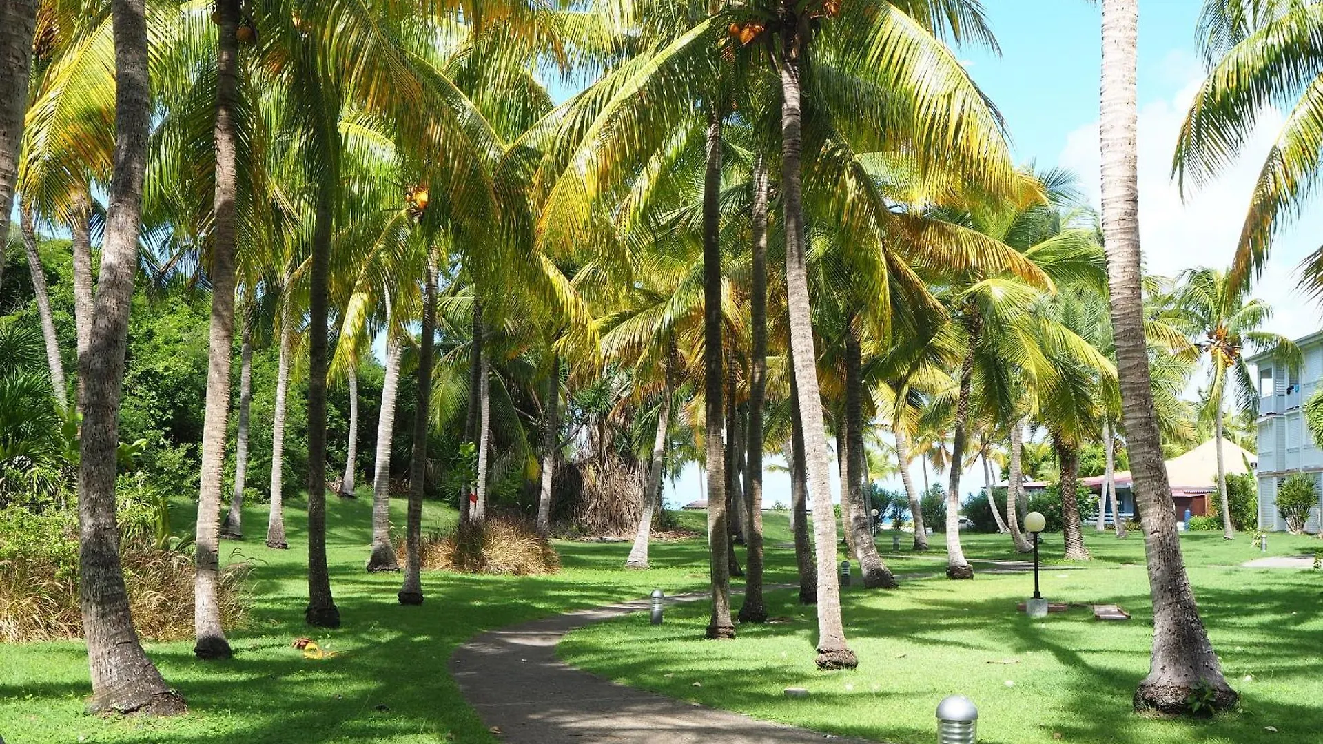 Holidays Guadeloupe -Paradise -Anse Des Rochers Belle-Allée Apartman